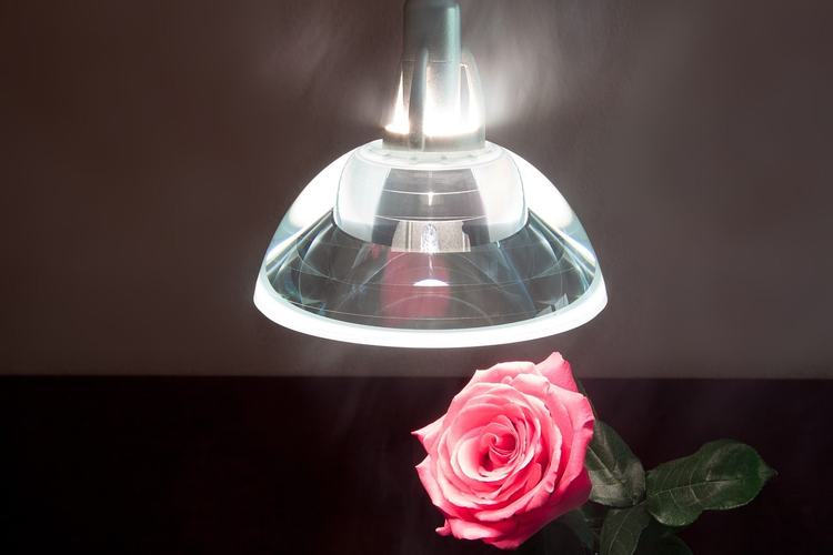L'image montre une lampe design qui illumine une rose