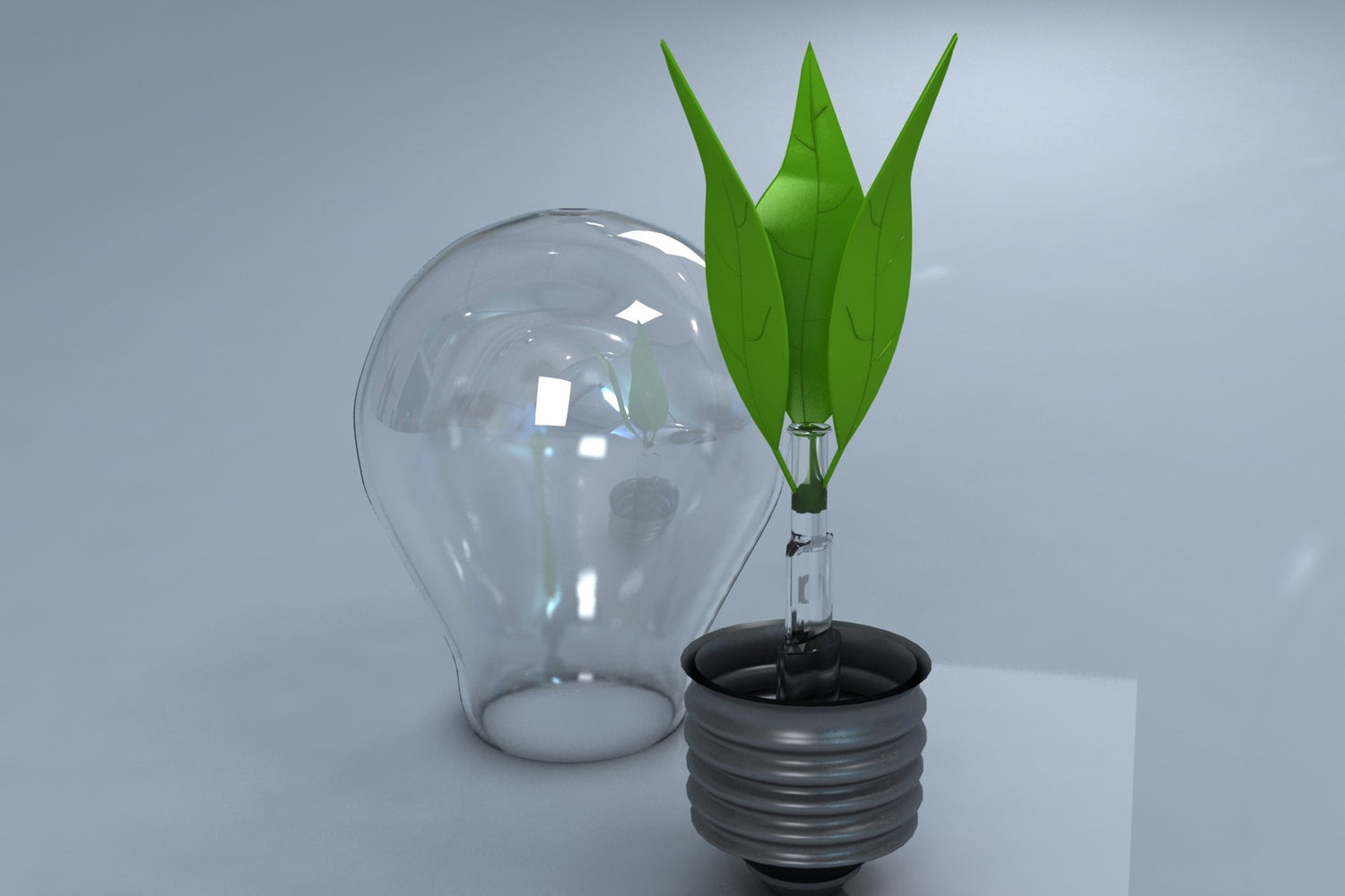 une photo d'une ampoule avec une plante pour montrer le côté écologique